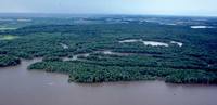 Mississippi-River-bottomlands-south-of-Burlington,-Iowa.jpg