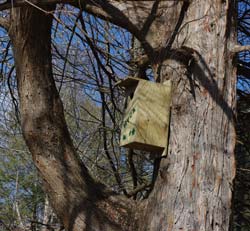 new wood duck box.jpg