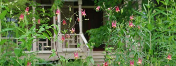 Columbine-&-Leopold-Porch-(.jpg