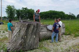 Leopold-Red-Oak-Log---Midewin-(4).jpg